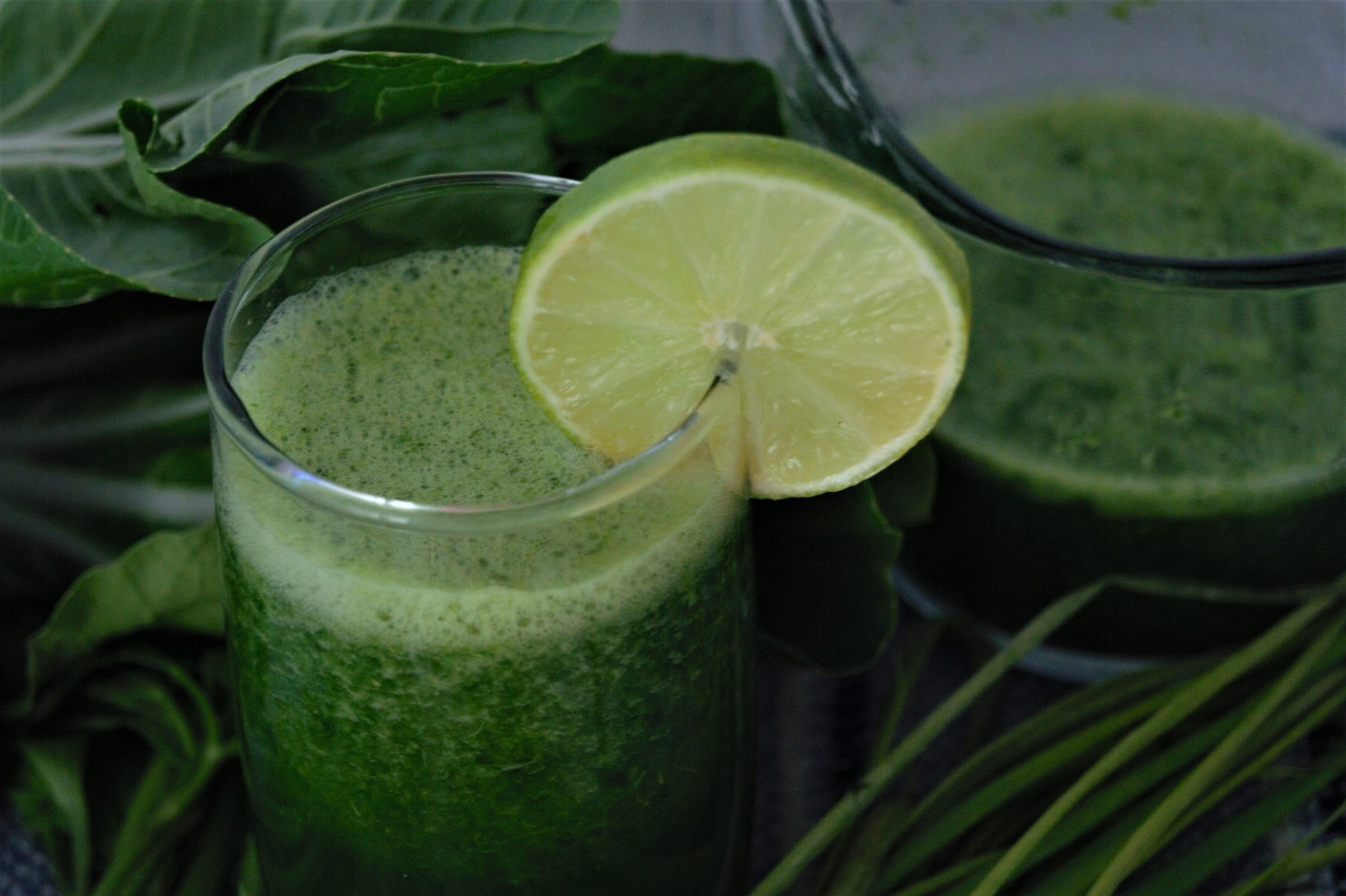 Chlorofil do picia hitem TikToka. „Zielona woda” to szereg korzyści dla zdrowia!