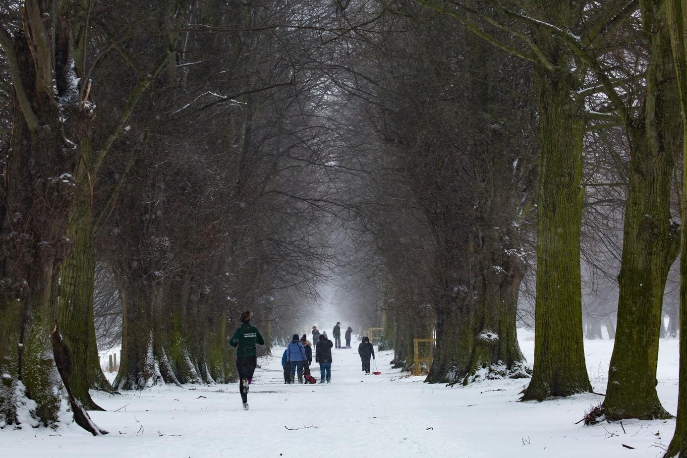 Jak biegać zimą, aby uniknąć przeziębienia? 5 sprawdzonych rad